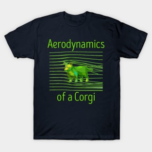 The Aerodynamics of a Corgi T-Shirt